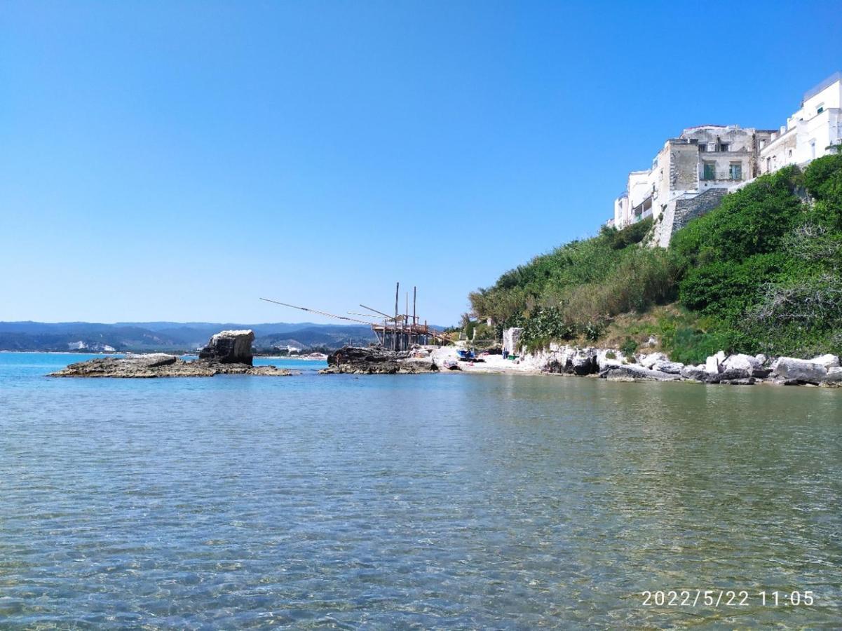 Casina Viestana Villa Vieste Eksteriør bilde